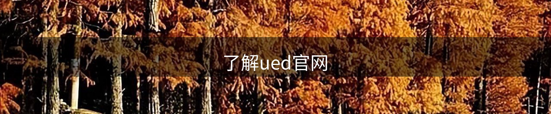 内页banner